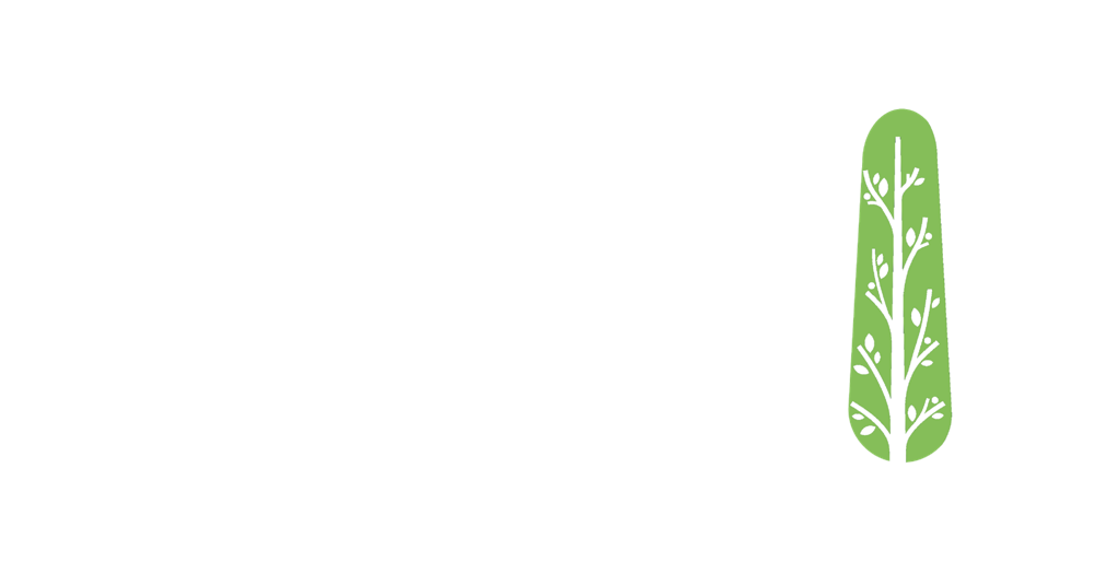 بهین پایش هوشمند